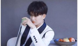 圈内大爆料任嘉伦,揭秘娱乐圈背后的风云人物