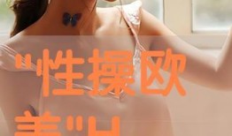 欧美在线观看,欧美热门影视作品在线观看指南